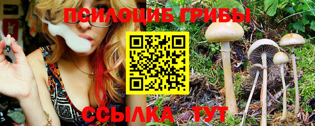 Галлюциногенные грибы Magic Shrooms  Вход с VPN  купить   Псилоцибиновые грибы ЛСД  Феодосия 